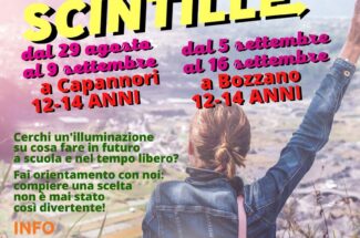 Thumbnail for the post titled: SCINTILLE – ESPERIENZE DI ORIENTAMENTO